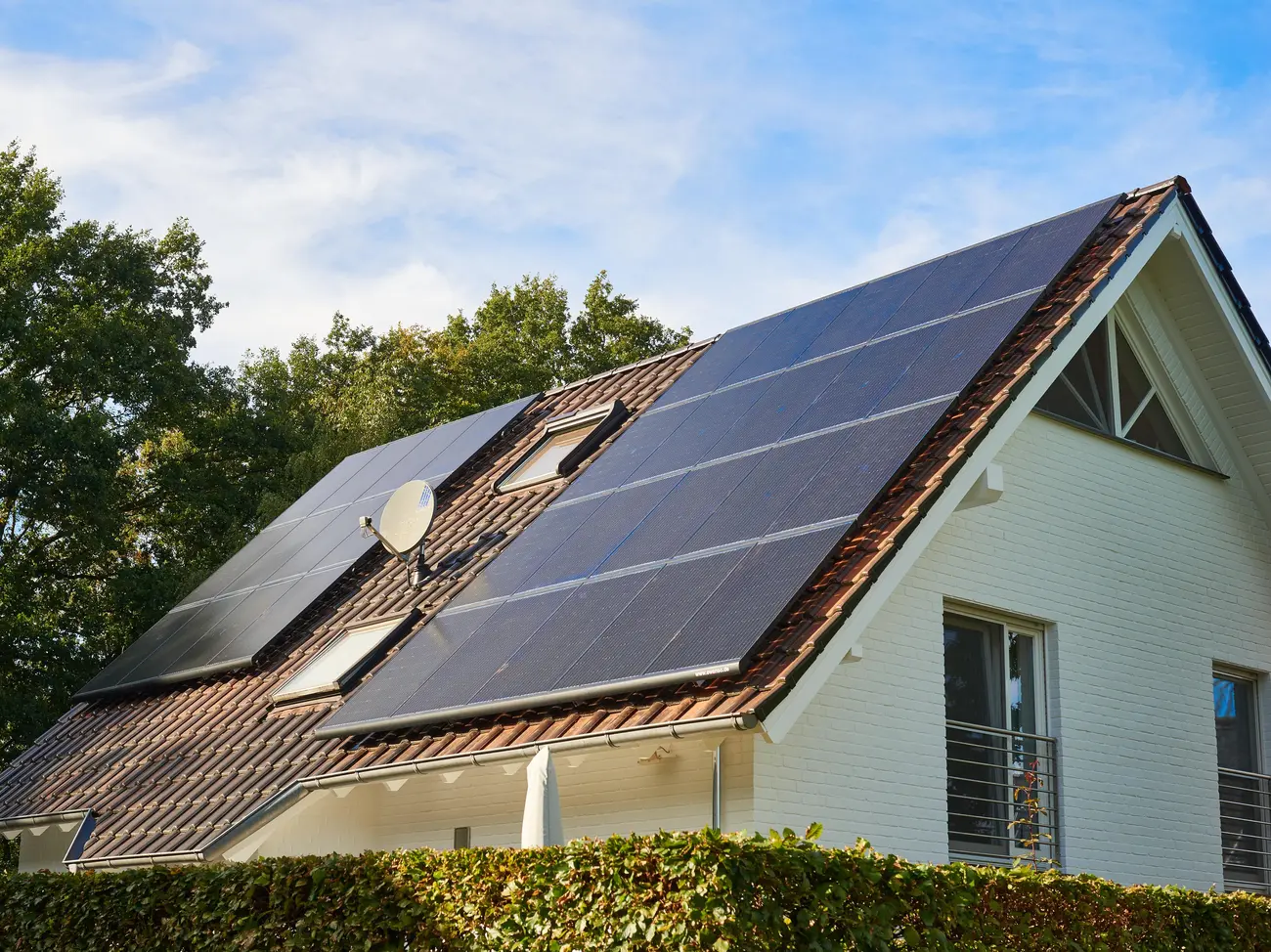 Solarwatt Panel