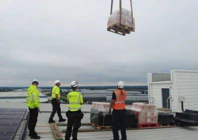 Crane Lift at Home Bargains
