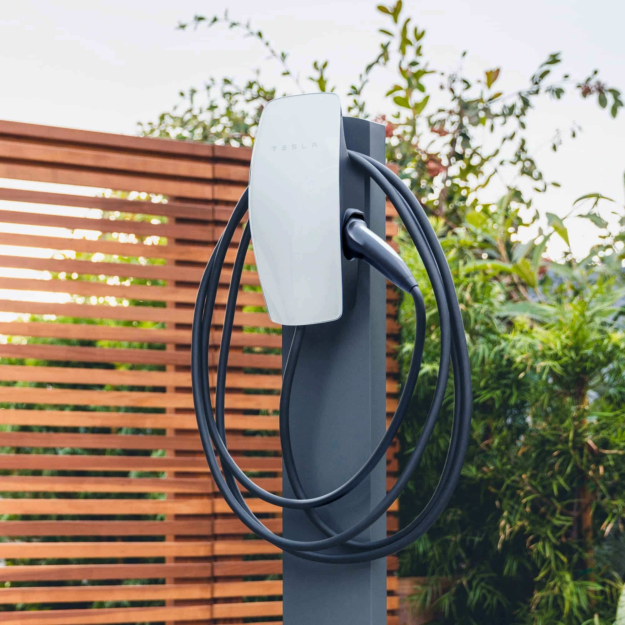 Tesla Wall Connectors installed at a commercial property